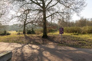 Admiraal de Ruyterlaan 65 HILVERSUM