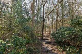 Acaciapark 148 HILVERSUM