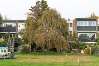 Willibrorduslaan 19 HILVERSUM