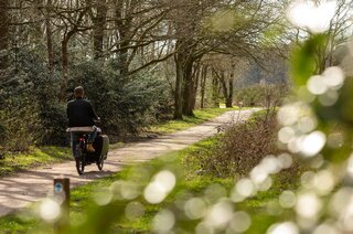 Dotterstraat 23 HILVERSUM