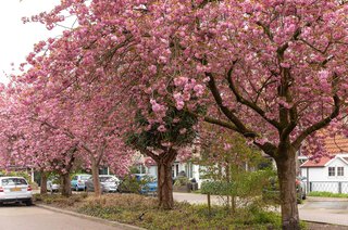 Franklinstraat 24 HILVERSUM