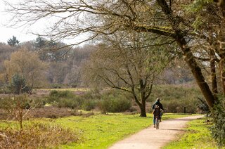 Dotterstraat 23 HILVERSUM