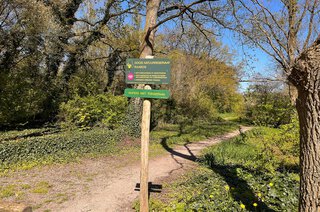 Calvijnhof 7 HILVERSUM