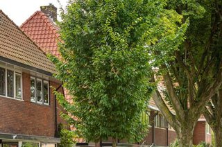 Radiostraat 28 HILVERSUM