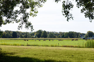 Erve Knorr, huurappartementen Loosdrecht