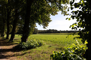 Erve Knorr, huurappartementen Loosdrecht