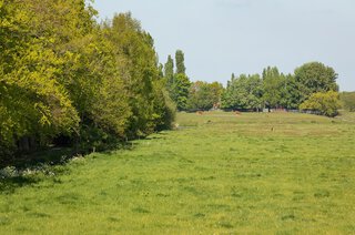 Zuidereinde 116 'S-GRAVELAND
