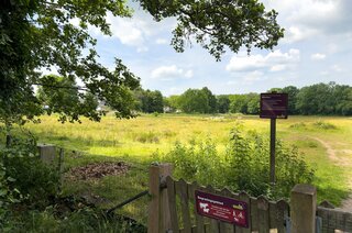 Kruidenmeent 8 HILVERSUM
