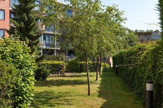Dr. P.J.H. Cuypersplein 3 3 HILVERSUM