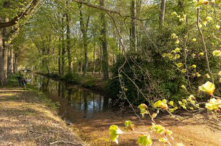 Noordereinde 171 'S-GRAVELAND