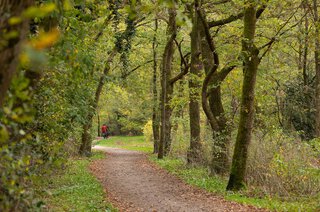 Amaliagaarde 21 BUSSUM