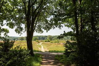 Hazelaarlaan 24 HILVERSUM