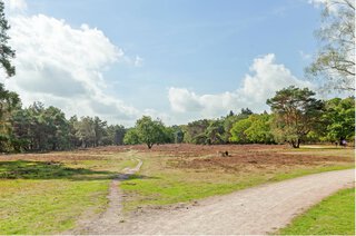 Laapersveld 15 A HILVERSUM