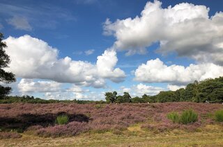 Eemnesserweg 202 HILVERSUM