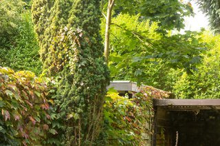 Jacob Catsstraat 74 HILVERSUM