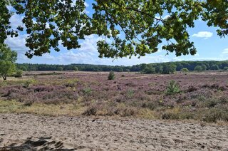 Eikbosserweg 256 HILVERSUM