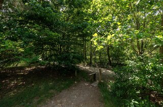 Kolhornseweg 99 HILVERSUM