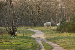 Admiraal de Ruyterlaan 61 HILVERSUM