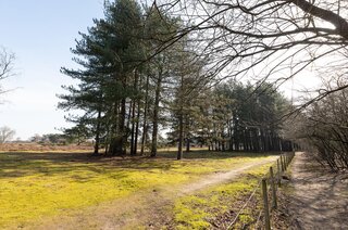 Poolsterstraat 18 HILVERSUM