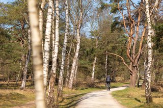 Hilvertsweg 236 HILVERSUM