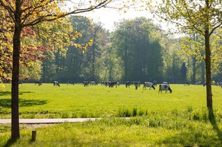 Zuidereinde 116 'S-GRAVELAND