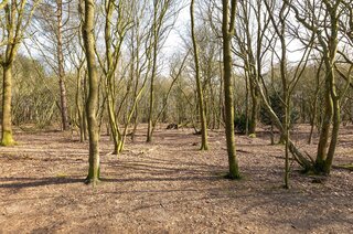 Poolsterstraat 18 HILVERSUM