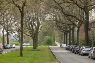 Bosdrift 152 HILVERSUM