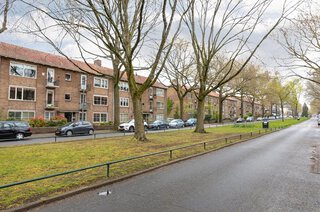 Bosdrift 248 HILVERSUM