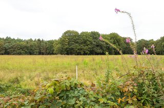 Struikheidelaan 75 HILVERSUM