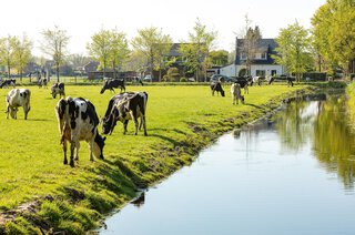 Zuidereinde 116 'S-GRAVELAND