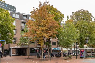 Groest 73 -24 HILVERSUM