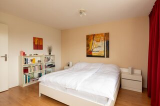 Lama 52 HUIZEN