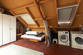 Lama 52 HUIZEN