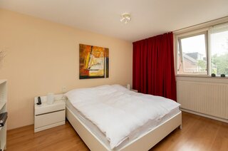 Lama 52 HUIZEN