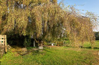 Willibrorduslaan 19 HILVERSUM