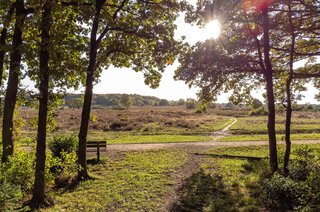 Eikbosserweg 185 HILVERSUM