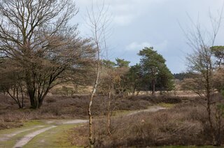 Jacob van Campenlaan 347 HILVERSUM