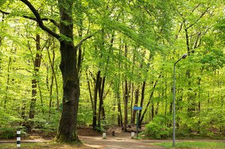 Trompenbergerweg 63 HILVERSUM