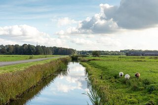 Varenmeent 82 HILVERSUM