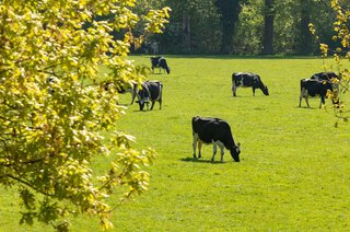 Zuidereinde 116 'S-GRAVELAND