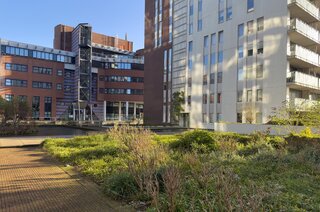 Prins Bernhardstraat 89 HILVERSUM