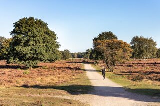 Eemnesserweg 202 HILVERSUM