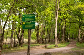 Trompenbergerweg 63 HILVERSUM