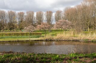 Marco Polostraat 281 H AMSTERDAM