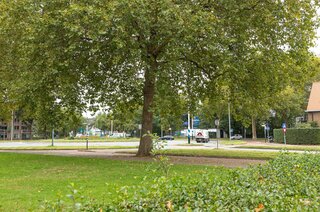 Loosdrechtseweg 245 HILVERSUM