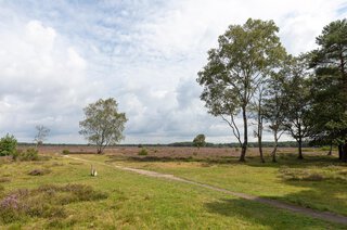 Jacob van Campenlaan 365 HILVERSUM