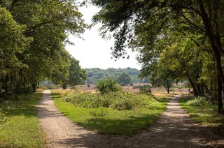Moerbeilaan 36 HILVERSUM