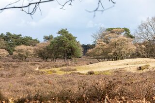 Neptunusstraat 28 HILVERSUM