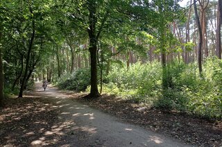Eikbosserweg 256 HILVERSUM