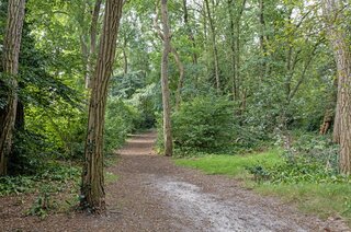 Wezellaan 13 HILVERSUM